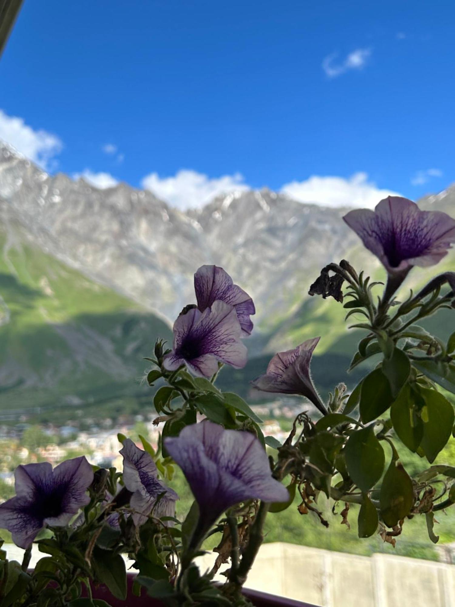 Hill House Hotel Kazbegi Eksteriør billede